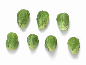 brussel sprout 55A.jpg