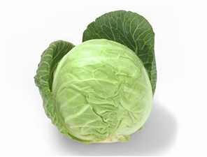 cabbage 56B.jpg