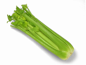 celery 60A.jpg