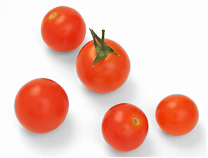 cherry tomato 87A.jpg