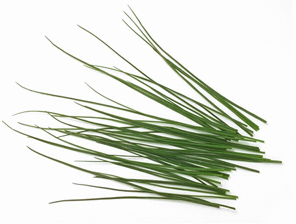 chives 67B.jpg