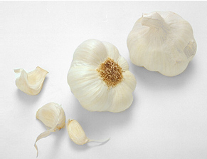 garlic bulbs 206A.jpg