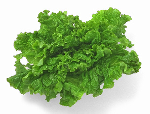 green leaf lettuce 69D.jpg