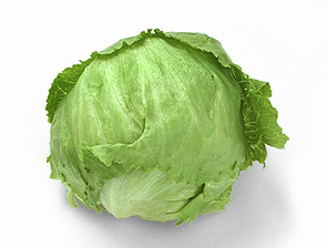iceburg lettuce 69C.jpg