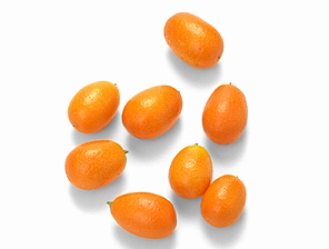kumquat 20A.jpg