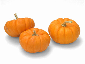 mini pumpkin 78B.jpg