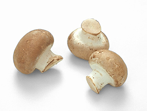 mushroom_brown.jpg