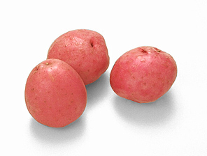 new potatoes_red 77B.jpg