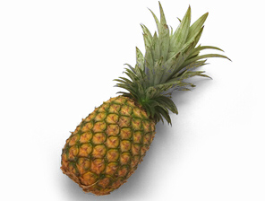 pineapple 37B.jpg