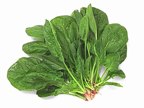 spinach 82A.jpg