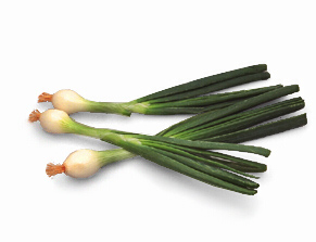spring onions 215A.jpg