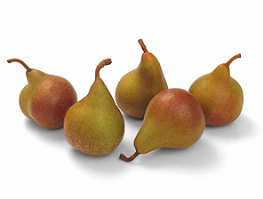 suckle pears 35G.jpg