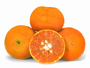 tangerine 49C.jpg