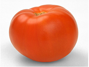 tomato 87E.jpg