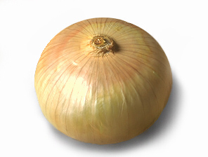 vidalia onion 72D.jpg