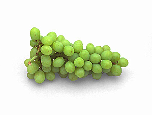 white grape 17I.jpg