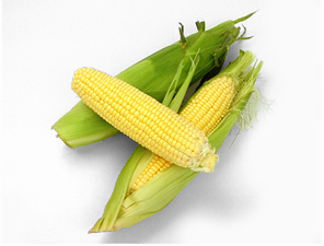 yellow corn 62B.jpg