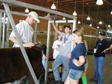 2008 Beef School