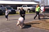 2014 GA Jr. National Livestock Show