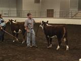 2010 Georgia Jr. Beef Futurity