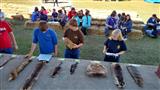 Albany & Waycross Fairs