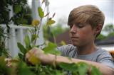 2016 State Convention: Living to Serve Project