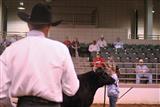 Georgia National Fair Steer & Heifer Show