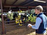 South Region CDEs at the Albany & Waycross Fairs