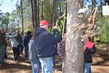 Satilla Forestry Field Day