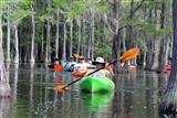 Ecology Study of Ga Waterways