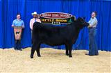 GYFA Livestock Show