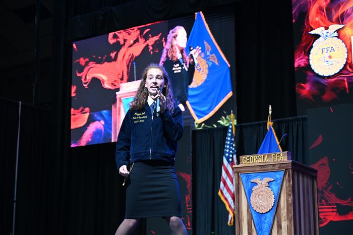 HyperLink