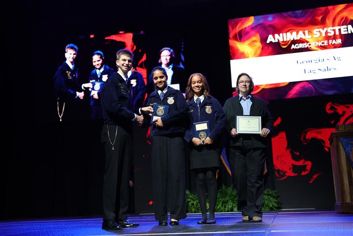 HyperLink