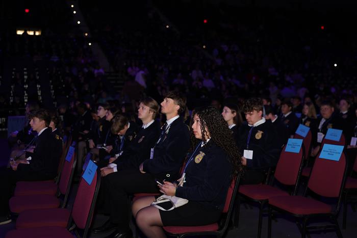 HyperLink