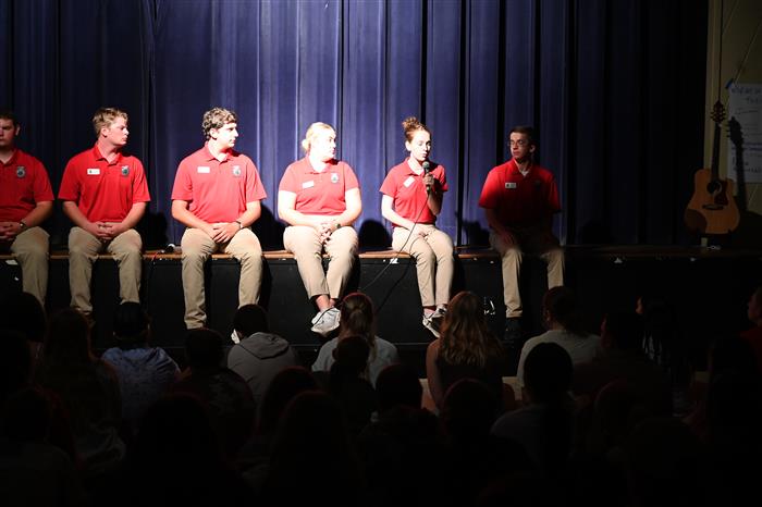 HyperLink