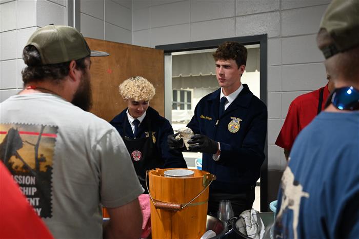 HyperLink