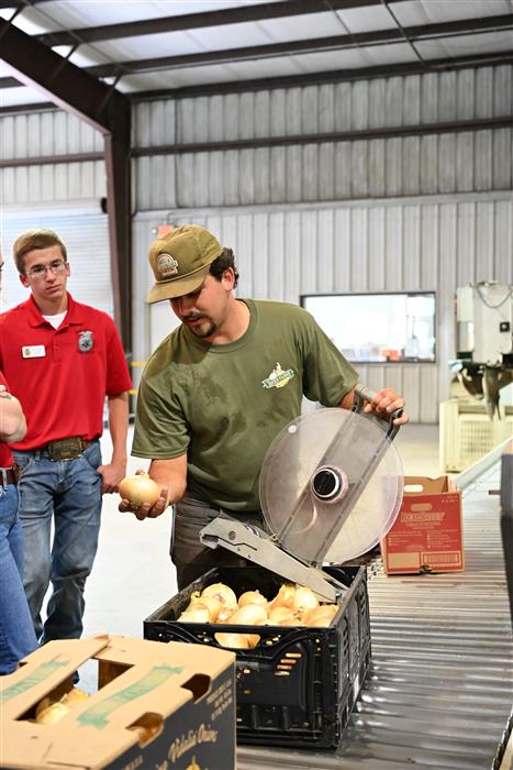 HyperLink