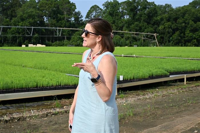 HyperLink