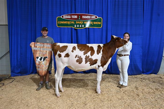 HyperLink