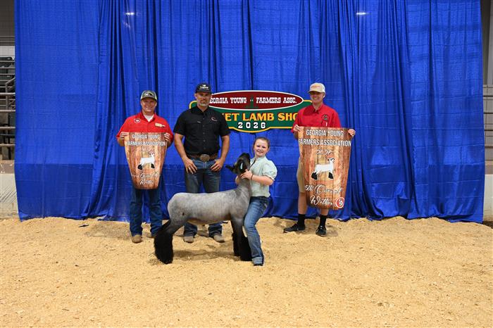 HyperLink