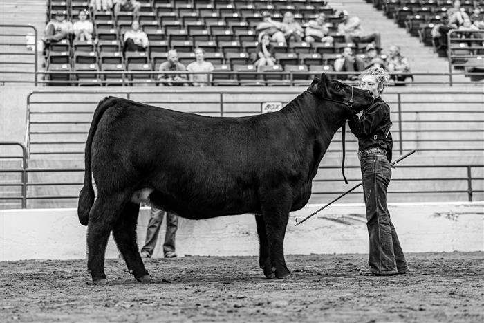 HyperLink
