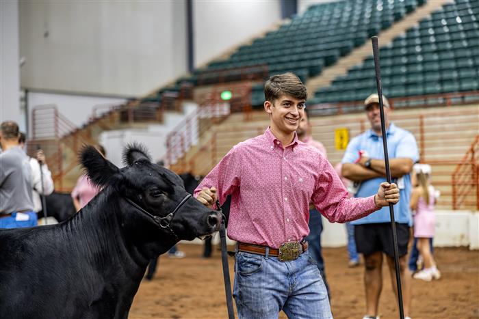 HyperLink