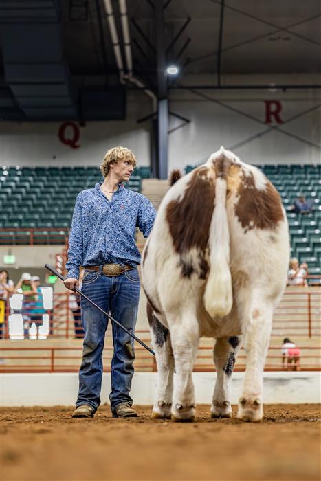 HyperLink