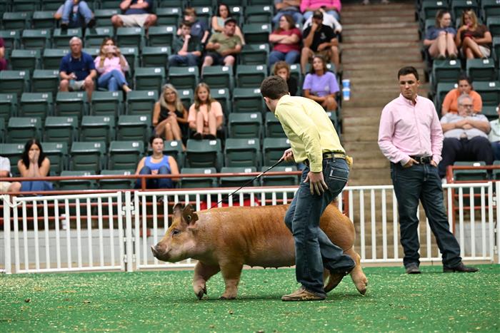 HyperLink
