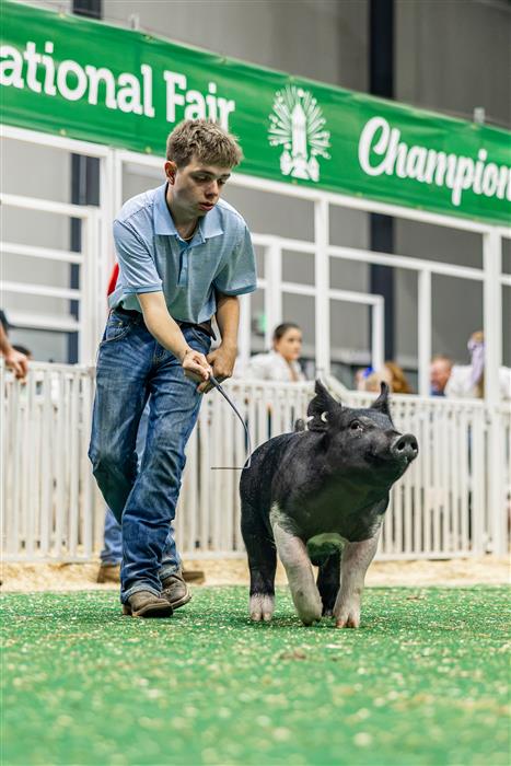 HyperLink