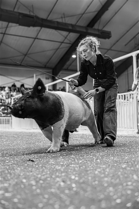 HyperLink