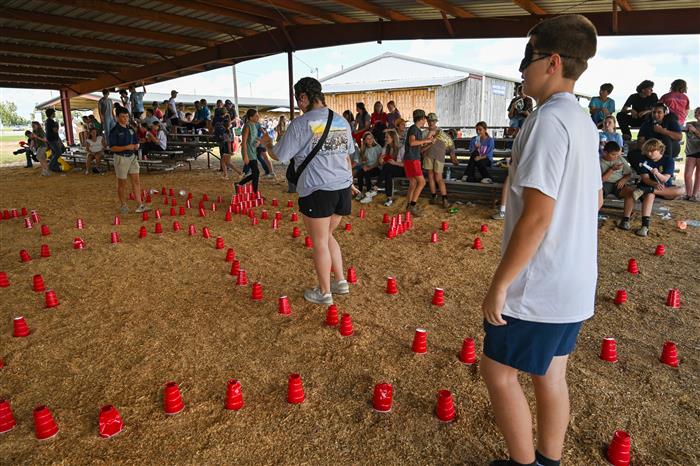 HyperLink