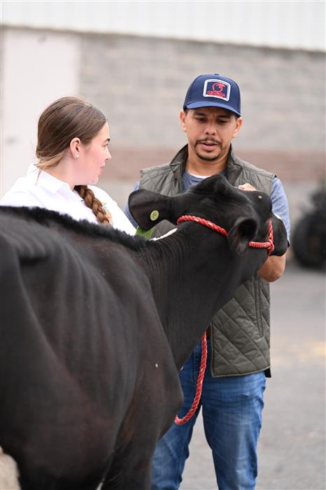 HyperLink