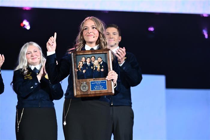 HyperLink