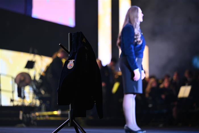 HyperLink